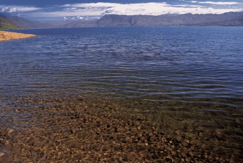 坚持保护与开发并重 程海湖上的生物多样性保护企业实践