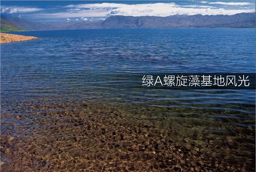 科创实力领先,绿a被认定为 专精特新中小企业