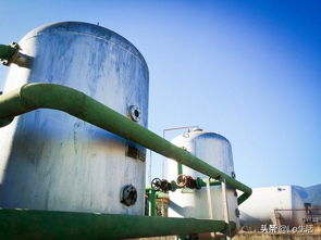 第三届程海水环境保护研讨会召开 绿a增殖放流助力程海湖环保发展