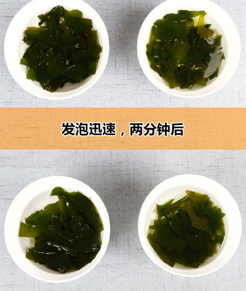 大连特产天然裙带菜干货特级螺旋藻免洗海藻海木耳海白菜500g包邮