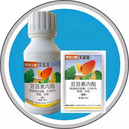 每日一品 锦绣之星r笑盈盈r