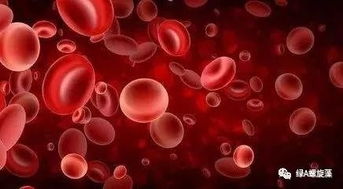 天然螺旋藻能根治贫血症