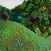 螺旋藻粉,螺旋藻,螺旋藻粉,螺旋藻精片生产供应商 保健食品