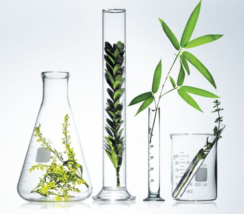 天然螺旋藻 自然系潮流引领者Ultraworks工厂的革新之路